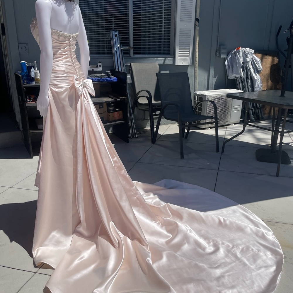 Couture Collection elegant Blush wedding dress - Picture 9 of 15